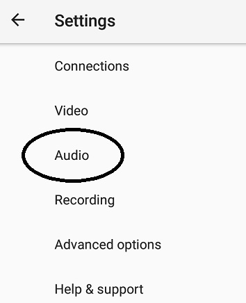 Live Video Streaming - Larix Mobile Broadcaster - audio settings