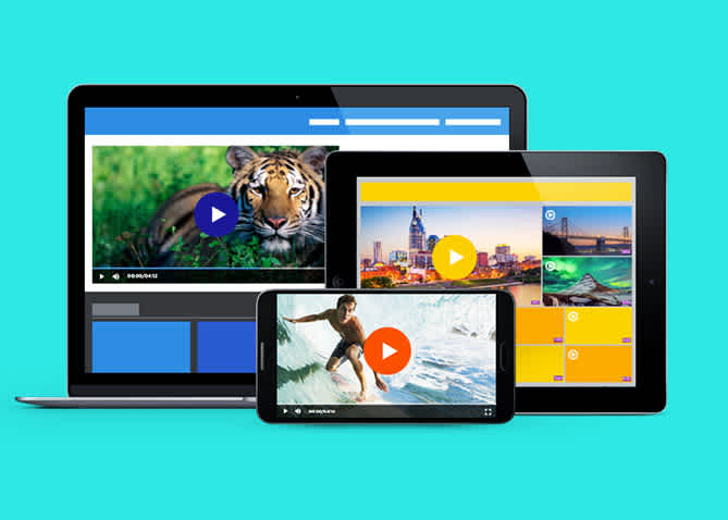 brightcove video hosting platform