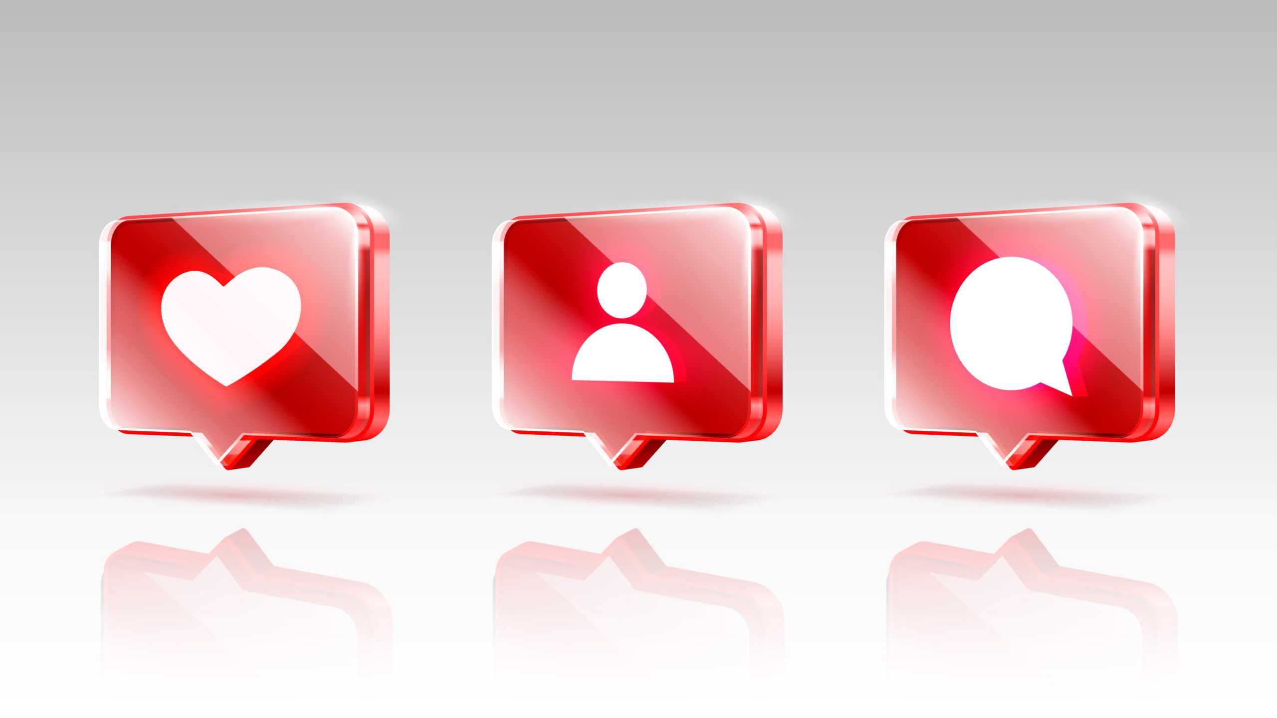 banner image featured