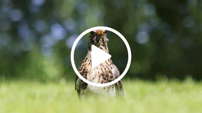 banner image featured