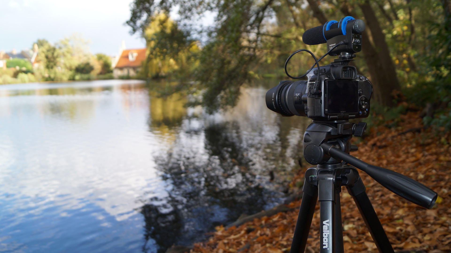 3ª Parte Reproductores Fotografía