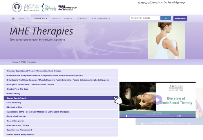 IAHE Therapies